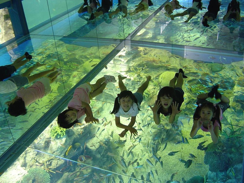 传统日式旅馆 Ooedo Onsen Monogatari Premium Seiunkaku 芦原市